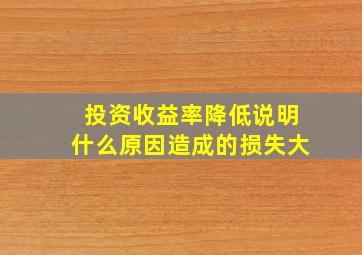 投资收益率降低说明什么原因造成的损失大