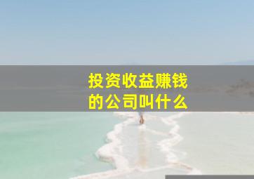 投资收益赚钱的公司叫什么