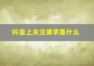 抖音上关注请求是什么