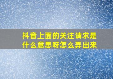 抖音上面的关注请求是什么意思呀怎么弄出来