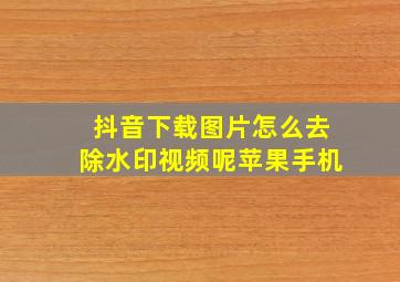 抖音下载图片怎么去除水印视频呢苹果手机