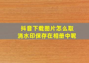 抖音下载图片怎么取消水印保存在相册中呢