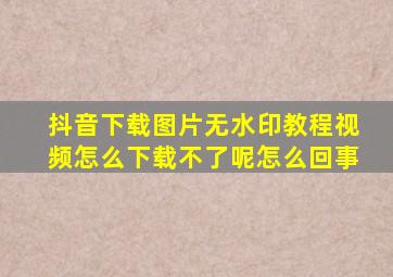 抖音下载图片无水印教程视频怎么下载不了呢怎么回事