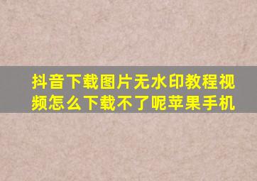 抖音下载图片无水印教程视频怎么下载不了呢苹果手机