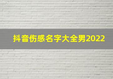 抖音伤感名字大全男2022