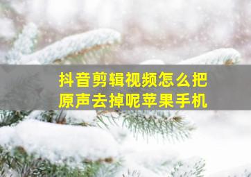 抖音剪辑视频怎么把原声去掉呢苹果手机