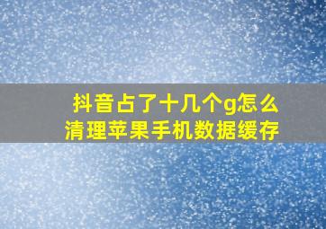 抖音占了十几个g怎么清理苹果手机数据缓存