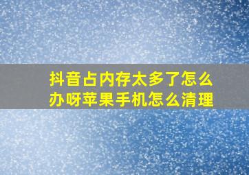 抖音占内存太多了怎么办呀苹果手机怎么清理