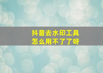 抖音去水印工具怎么用不了了呀