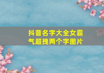 抖音名字大全女霸气超拽两个字图片