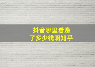 抖音哪里看赚了多少钱啊知乎