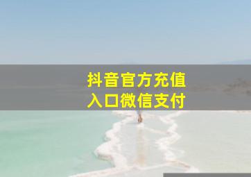 抖音官方充值入口微信支付