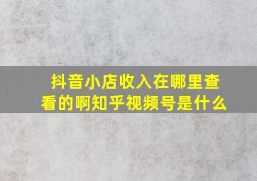 抖音小店收入在哪里查看的啊知乎视频号是什么