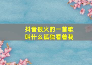 抖音很火的一首歌叫什么孤独看着我