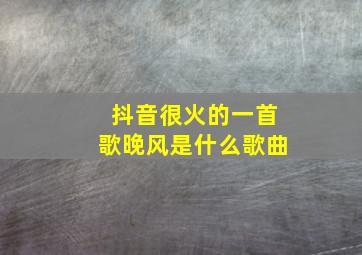 抖音很火的一首歌晚风是什么歌曲