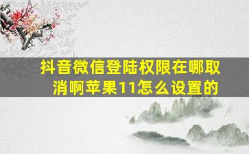 抖音微信登陆权限在哪取消啊苹果11怎么设置的