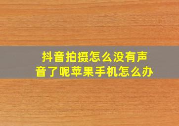 抖音拍摄怎么没有声音了呢苹果手机怎么办