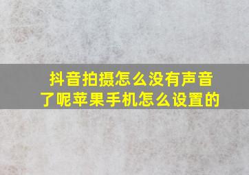 抖音拍摄怎么没有声音了呢苹果手机怎么设置的