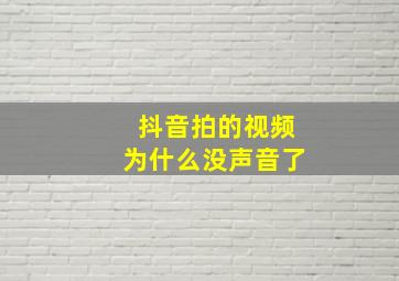 抖音拍的视频为什么没声音了