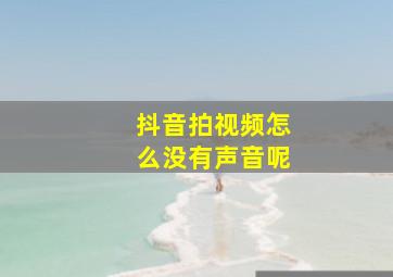 抖音拍视频怎么没有声音呢