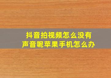 抖音拍视频怎么没有声音呢苹果手机怎么办