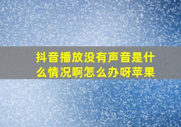 抖音播放没有声音是什么情况啊怎么办呀苹果