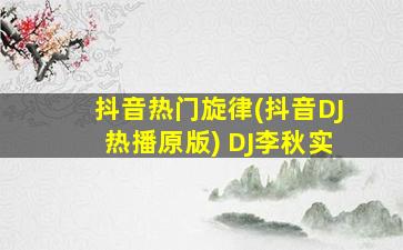 抖音热门旋律(抖音DJ热播原版) DJ李秋实