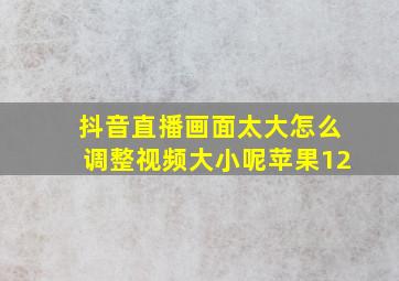 抖音直播画面太大怎么调整视频大小呢苹果12