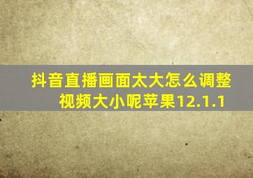 抖音直播画面太大怎么调整视频大小呢苹果12.1.1