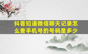 抖音知道微信聊天记录怎么查手机号的号码是多少