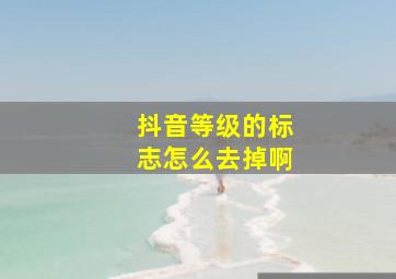 抖音等级的标志怎么去掉啊