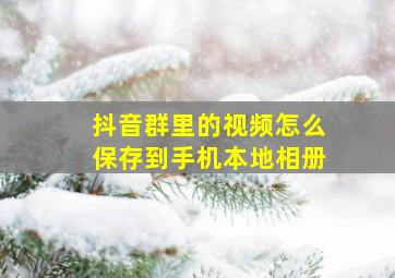 抖音群里的视频怎么保存到手机本地相册