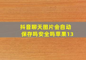 抖音聊天图片会自动保存吗安全吗苹果13