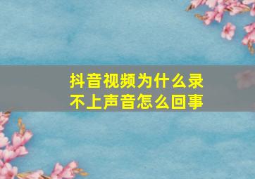 抖音视频为什么录不上声音怎么回事