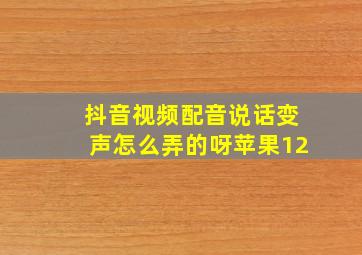 抖音视频配音说话变声怎么弄的呀苹果12