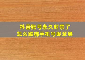 抖音账号永久封禁了怎么解绑手机号呢苹果