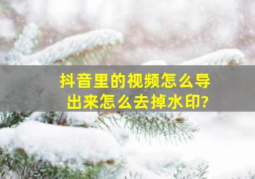 抖音里的视频怎么导出来怎么去掉水印?