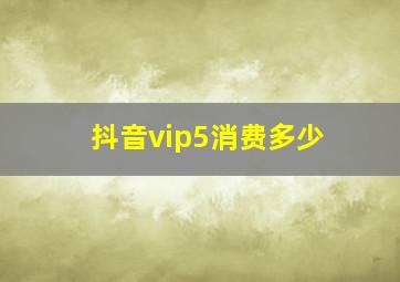 抖音vip5消费多少