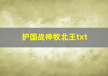 护国战神牧北王txt