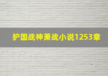 护国战神萧战小说1253章