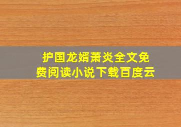 护国龙婿萧炎全文免费阅读小说下载百度云