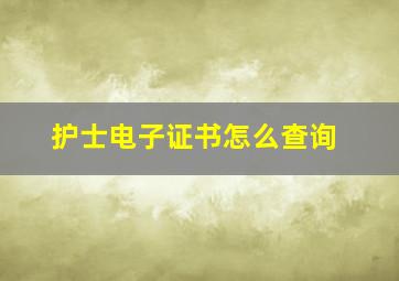 护士电子证书怎么查询