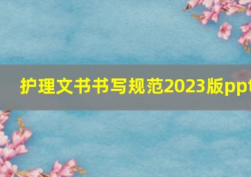 护理文书书写规范2023版ppt