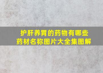 护肝养胃的药物有哪些药材名称图片大全集图解