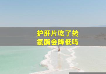 护肝片吃了转氨酶会降低吗