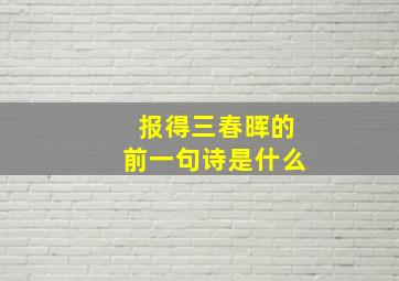 报得三春晖的前一句诗是什么