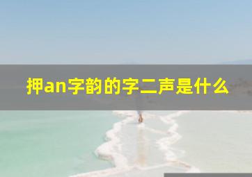 押an字韵的字二声是什么