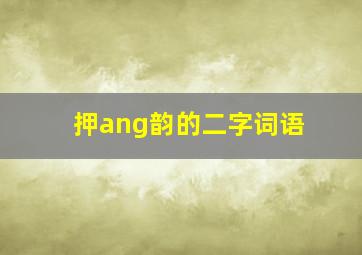 押ang韵的二字词语