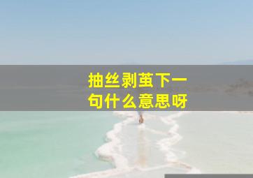 抽丝剥茧下一句什么意思呀