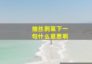 抽丝剥茧下一句什么意思啊